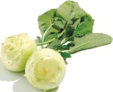 Netto mit dem Scottie Wittstock - Kohlrabi Angebot im Prospekt Kohlrabi bei Netto mit dem Scottie im Wittstock Prospekt für 0,59 €