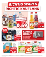 Pute im Kaufland Prospekt in Wesel Aktueller Kaufland Prospekt mit Pute, "Aktuelle Angebote", Seite 8