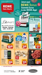REWE Prospekt "Dein Markt" für Weeze, 30 Seiten, 13.01.2025 - 18.01.2025 REWE Prospekt "Dein Markt" für Weeze, 30 Seiten, 13.01.2025 - 18.01.2025