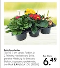 Frühlingsboten Angebote bei Hellweg Ahaus für 6,49 €