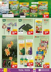 Gartendeko im Netto Marken-Discount Prospekt in Bochum Aktueller Netto Marken-Discount Prospekt mit Gartendeko, "Aktuelle Angebote", Seite 46