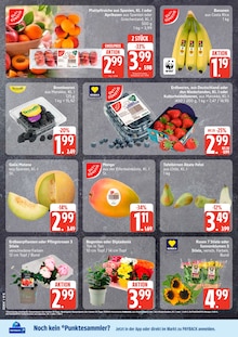 Blumen im aktuellen EDEKA Prospekt (Hamburg) Blumen im EDEKA Prospekt "Top Angebote" mit 27 Seiten (Hamburg)