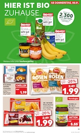 Aktueller Kaufland Prospekt mit Vorratsdose, "Aktuelle Angebote", Seite 35