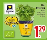 Bio-Petersilie im EDEKA Prospekt Bio-Petersilie von REWE Regional im aktuellen EDEKA Prospekt für 1,29 €