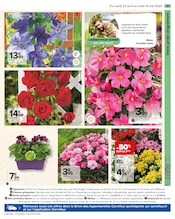 Fleurs Angebote im Prospekt "EMBELLIR VOTRE EXTÉRIEUR AVEC NOS EXPERTS" von Carrefour auf Seite 5