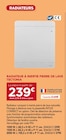 Promo Radiateur à inertie pierre de lave tectonia 1000 w à 239,00 € dans le catalogue Gedimat à Saint-James