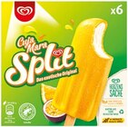 Cuja Mara Split Eis von Langnese im aktuellen Netto mit dem Scottie Prospekt