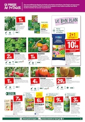 Tomate Angebote im Prospekt "Faites aussi éclore les bravos !" von Gamm vert auf Seite 5