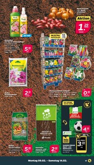 Pflanzen im Netto mit dem Scottie Prospekt "Günstig. Besser. Für Dich." mit 40 Seiten (Kiel)