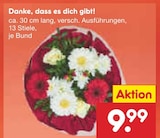 Netto Marken-Discount Pörnbach - Danke, dass es dich gibt! Angebot im Prospekt Danke, dass es dich gibt! bei Netto Marken-Discount im Pörnbach Prospekt für 9,99 €