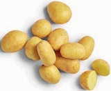 Kartoffellieblinge Angebote von HofWerte bei Markant Nordwest Wilhelmshaven für 0,99 €