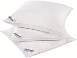 Aktuelles 3-Kammer-Kopfkissen Angebot bei Möbelzentrum Pforzheim in Heilbronn ab 29,99 €