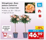 StĂ€ngelrosen, Rosa palace âCatherineâ im Netto Marken-Discount Prospekt StĂ€ngelrosen, Rosa palace âCatherineâ im aktuellen Netto Marken-Discount Prospekt fĂŒr 46,99 âŹ