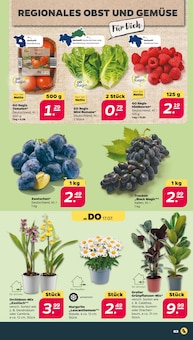 Salat Angebot im aktuellen Netto mit dem Scottie Prospekt auf Seite 3