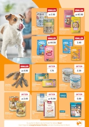 Rindfleisch Angebot & Preis im aktuellen ZooRoyal Prospekt Rindfleisch Angebot im aktuellen ZooRoyal Prospekt auf Seite 2