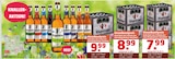 Bier Angebote von Wingelsteiner bei Getränke Quelle WVG Magdeburg für 7,99 €
