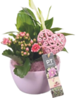 Arrangement Muttertag von  im aktuellen V-Markt Prospekt für 9,99 €