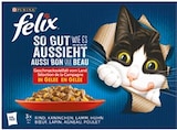 Aktuelle Felix Katzenfutter Angebote bei Netto mit dem Scottie in Rostock Aktuelles So gut wie es aussieht oder Doppelt lecker Katzennassnahrung Angebot bei Netto mit dem Scottie in Rostock ab 3,99 €