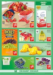 Aktueller Marktkauf Prospekt mit Bananen, "AUSWAHL RIESIG, PREISE NIEDRIG", Seite 8