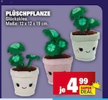 Marktkauf Filderstadt Prospekt mit  im Angebot für 4,99 €