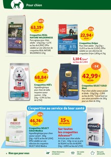 Promo Caisse de transport chien dans le catalogue Maxi Zoo du moment à la page 4