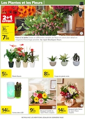 Fleurs Angebote im Prospekt "LE MOIS MONOPOLY" von Carrefour auf Seite 79