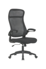Chefsessel Angebote von CARRYHOME bei XXXLutz Möbelhäuser Neubrandenburg für 79,90 €