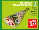Aktuelle Pflanzen Angebote bei Marktkauf in Nürnberg Aktuelles Fairtrade Rosen Karneval Angebot bei Marktkauf in Nürnberg ab 3,99 €