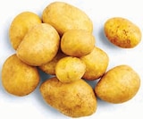 Bio Speisekartoffeln im Angebot bei Markant Nordwest in Lemgo Bio Speisekartoffeln Angebote von NaturWert Bio bei Markant Nordwest Lemgo für 1,99 €