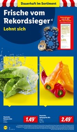 Paprika im Lidl Prospekt in Osnabrück Aktueller Lidl Prospekt mit Paprika, "LIDL LOHNT SICH", Seite 2