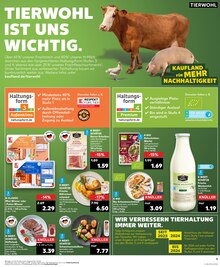 Rindfleisch im Kaufland Prospekt "Aktuelle Angebote" mit 28 Seiten (Nürnberg)