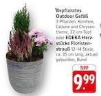 Bepflanztes Outdoor Gefäß im Angebot bei EDEKA in Mainz Bepflanztes Outdoor Gefäß Angebote bei EDEKA Mainz für 9,99 €