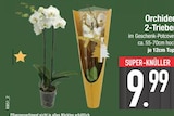 EDEKA Mitterfels - Orchidee 2-Trieber Angebot im Prospekt Orchidee 2-Trieber bei EDEKA im Mitterfels Prospekt für 9,99 €