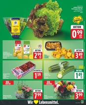 Kartoffeln im WEZ Prospekt in Löhne Aktueller WEZ Prospekt mit Kartoffeln, "Die WEZette", Seite 3