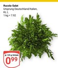 Aktuelle Rucola Angebote bei GLOBUS in Leipzig Aktuelles Rucola-Salat Angebot bei GLOBUS in Leipzig ab 0,99 €