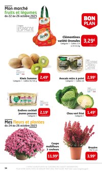 Promotion Plantes dans le prospectus Colruyt, valable du 22/10/2025 au 02/11/2025 Promo Plantes dans le catalogue Colruyt du moment à la page 34