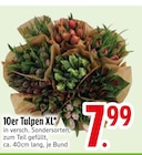 10er Tulpen XL von  im aktuellen EDEKA Prospekt für 7,99 €