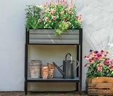 Dehner Garten-Center Eriskirch Prospekt mit  im Angebot für 129,99 €