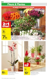 Offre Orchidée dans le catalogue Carrefour Market du moment à la page 34