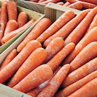 Carotte à Netto dans Theneuille