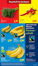 Mixer im Lidl Prospekt in Gießen Aktueller Lidl Prospekt mit Mixer, "LIDL LOHNT SICH", Seite 3
