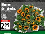 EDEKA Stolberg - Sonnenblumen Angebot im Prospekt Sonnenblumen bei EDEKA im Stolberg Prospekt für 2,99 €