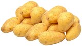 Speisekartoffeln Cilena Angebote bei REWE Monheim für 1,49 €
