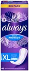 Slipeinlagen daily protect oder Slipeinlagen daily fresh von Always im aktuellen REWE Prospekt