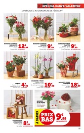 Plantes Angebote im Prospekt "Super U" von Super U Plantes Angebote im Prospekt "Super U" von Super U auf Seite 25