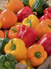 Paprika bei toom Baumarkt im Norden Prospekt für 3,49 €