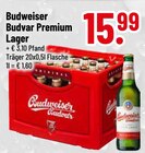 Premium Lager im Trinkgut Prospekt Premium Lager von Budweiser Budvar im aktuellen Trinkgut Prospekt für 15,99 €