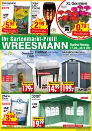 Wreesmann Prospekt für Behnsdorf: "Aktuelle Angebote", 32 Seiten, 17.06.2024 - 21.06.2024