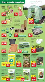 Blumentopf im Thomas Philipps Prospekt "Top Angebote" mit 9 Seiten (Hildesheim)