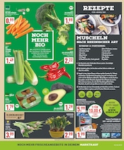 Aktueller Marktkauf Prospekt mit Blumen, "Aktuelle Angebote", Seite 3